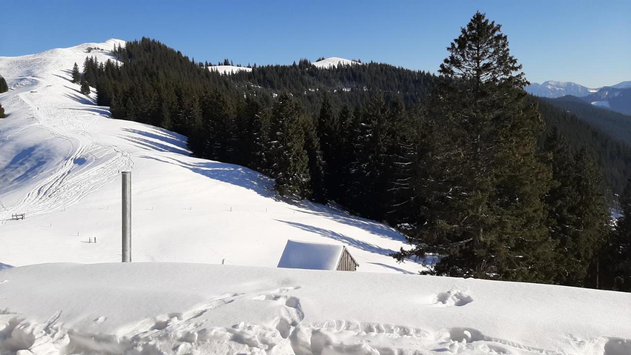Kultur, Berge, Seen, Moor - Das Lebensglueck Мурнау ам Щафелзе Екстериор снимка