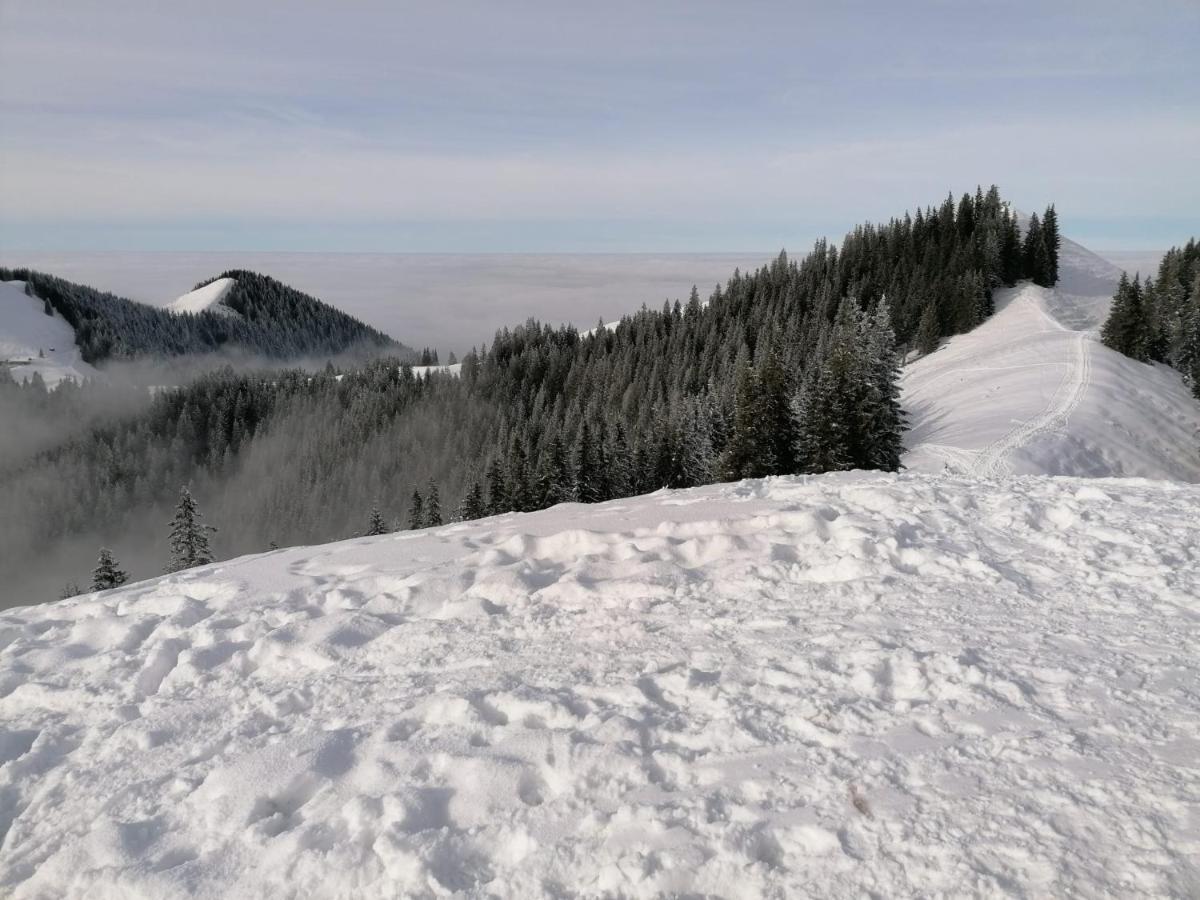 Kultur, Berge, Seen, Moor - Das Lebensglueck Мурнау ам Щафелзе Екстериор снимка